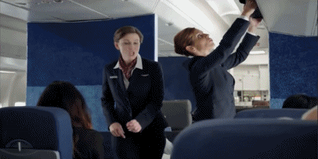 01 Cerdos - Jabalíes Animales Humor - Fun 