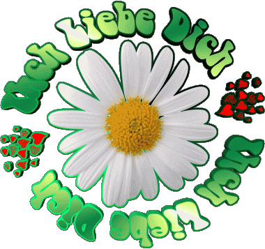 04 Ich Liebe Dich Allemand Messages 