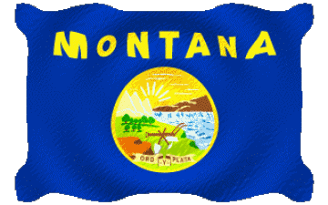 Ondulation Montana U.S.A - Etats Amériques Drapeaux 