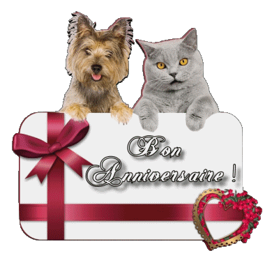 005 Animaux Bon Anniversaire Francés Mensajes 