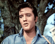 Elvis Presley Rock USA Music Multi Media 