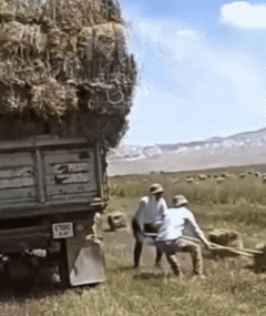 Idiot  Fail Serie 02 Auf Arbeit MENSCHEN Humor -  Fun 