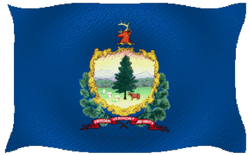 Ondulation Vermont U.S.A - Etats Amériques Drapeaux 