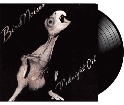 Bird Noises - 1980-Bird Noises - 1980 Midnight Oil New Wave Music Multi Media 