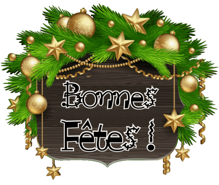 Serie 17 Bonnes Fêtes (Noël) French Messages 