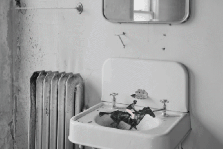 Bill Domonkos GIF Artistes Humour - Fun 