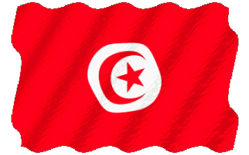 Waving Tunisia Africa Flags 