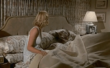 Airplane Airplane Movies International Multi Media 