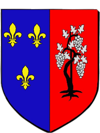 Blazon-Blazon AUTEUIL 78 Departments - Cities France Flags 