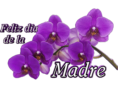 05 Feliz día de la madre Espagnol Messages 