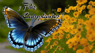 004 Sfondo animato Mariposas Feliz Cumpleaños Spagnolo Messagi 