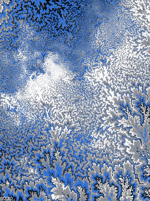 Bill Tavis GIF Artista Humor - Fun 