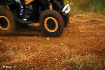 Fun - Win Quad Transporte Humor - Fun 