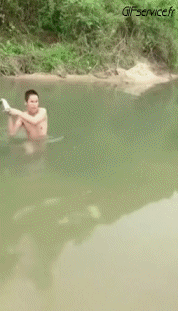 01 Serpenti Animali Umorismo -  Fun 