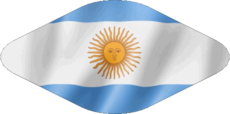 Divers Argentine Amériques Drapeaux 