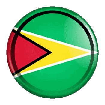 Round - Rings Guyana America Flags 