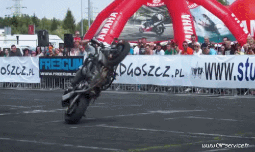 Freestyle Fun Win Moto Trasporti Umorismo -  Fun 