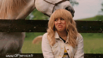 Serie 02 Chevaux Animaux Humour - Fun 