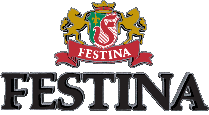 Festina Watches Fashion 