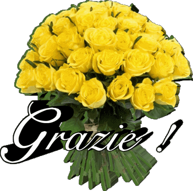 007 Grazie Italian Messages 