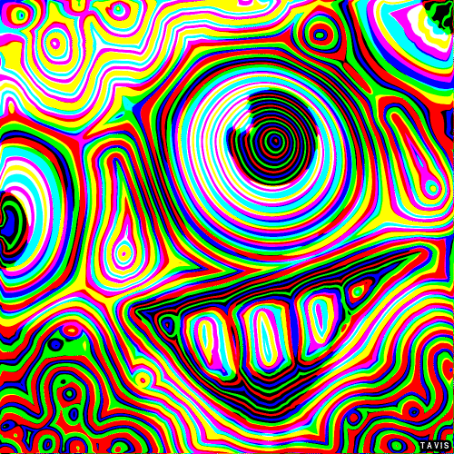 Bill Tavis GIF Artista Umorismo -  Fun 