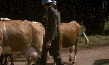 Video Top Secret V International Multimedia 