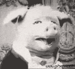 01 Cerdos - Jabalíes Animales Humor - Fun 