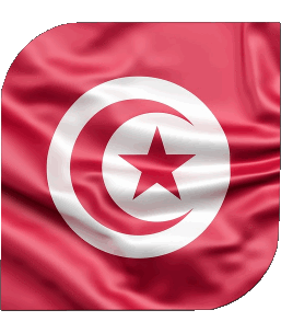 Carré Tunisie Afrique Drapeaux 