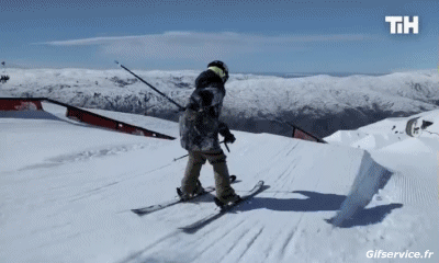 Free Style Fun Win Ski Sports Humor -  Fun 