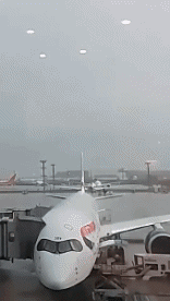 Fulmine Luoghi Umorismo -  Fun 