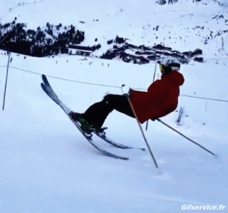 Free Style Fun Win Ski Sports Humor -  Fun 
