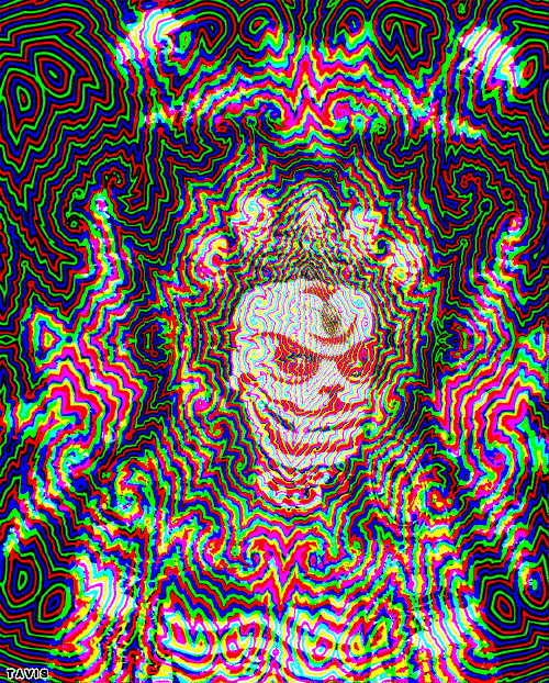 Bill Tavis GIF Artistes Humour - Fun 