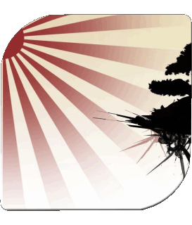 Quadrato Giappone Asia Bandiere 