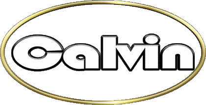 Calvin C MASCULINE - France First Names 