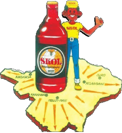 Skol Brasilien Bier Getränke 