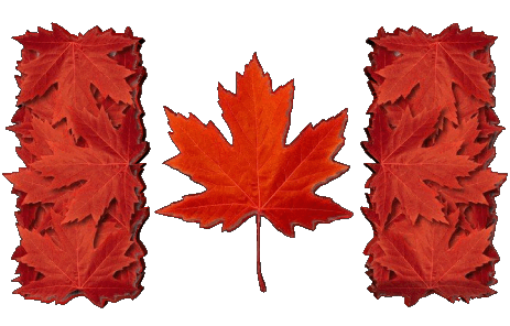 Rectangle Canada America Flags 