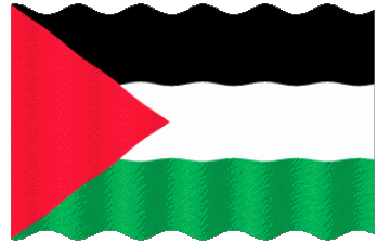 Ondulación Palestina Asia Banderas 