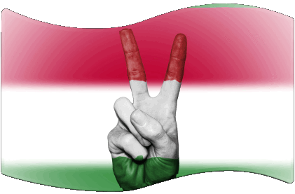 Rectangle Hongrie Europe Drapeaux 