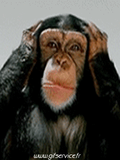 Serie 01 Singes Animaux Humour - Fun 