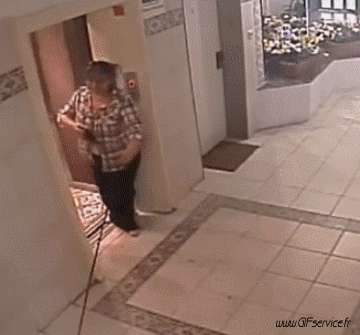 02 Cani Animali Umorismo -  Fun 