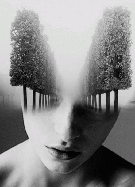 George RedHawk - Noir et blanc GIF Artistes Humour - Fun 