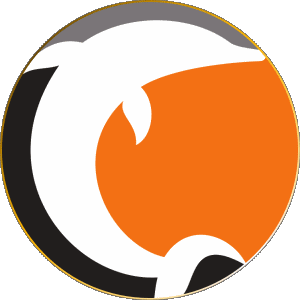 Norrköping Dolphins Svezia Pallacanestro Sportivo 