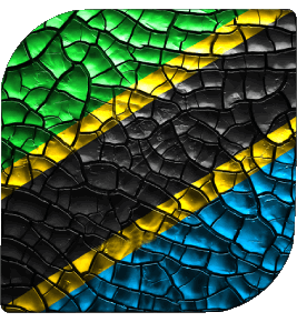 Plaza Tanzania África Banderas 