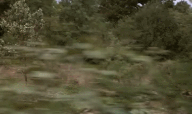 Video Top Secret Películas Internacional Multimedia 