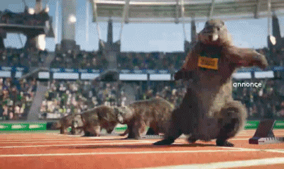 100 mètres-100 mètres Les Marmottes Sports France 3 Chaines -  TV France Multi Média 