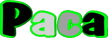 Paca P FEMININE - Spain First Names 