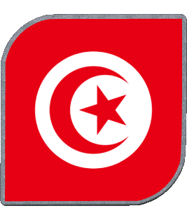 Quadrato Tunisia Africa Bandiere 