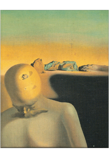 Salvador Dali Pittore di artisti Umorismo -  Fun 