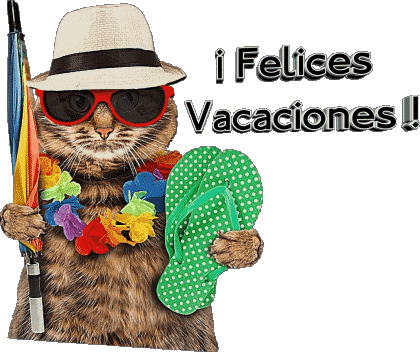 30 Fondo transparente Felices Vacaciones Español Mensajes 
