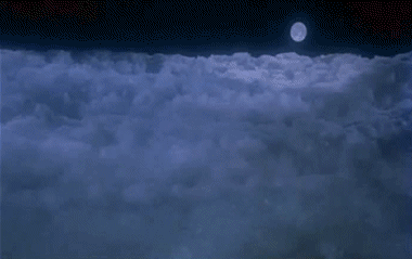 Airplane Airplane Películas Internacional Multimedia 